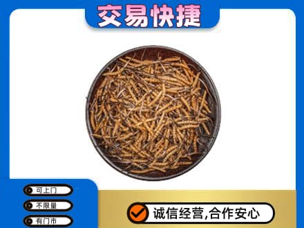 白银区回收散虫草